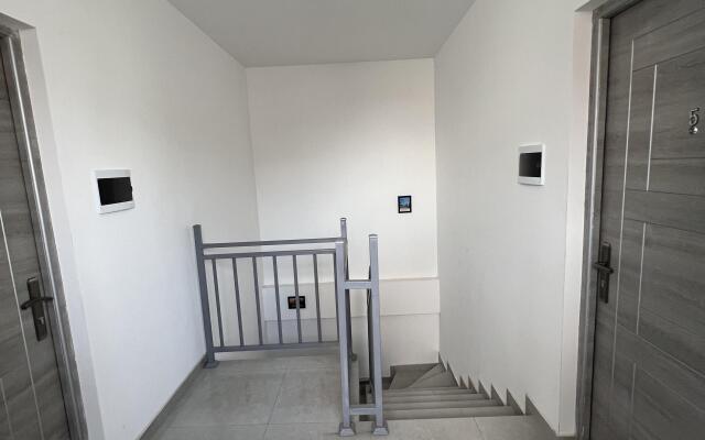 Comfort With Green Refreshing Interior Apartments