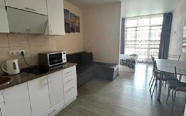 Квартира студия 53 на улице Гайдара 22