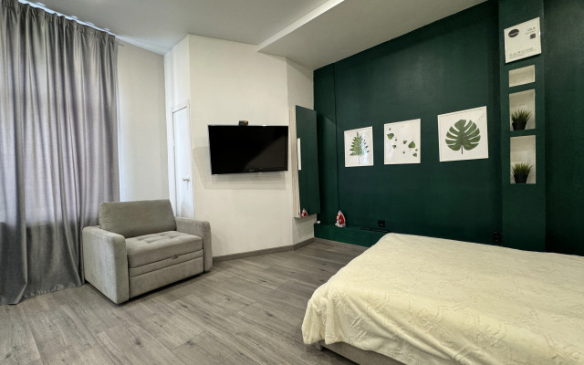 Studiya v tsentre goroda Flat