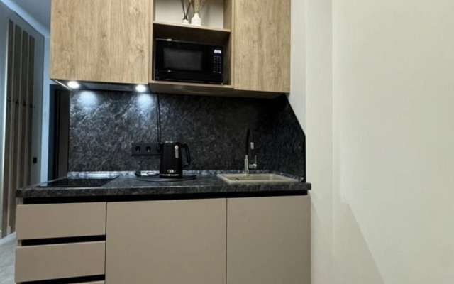 Novaya v tsentre goroda Sochi Flat