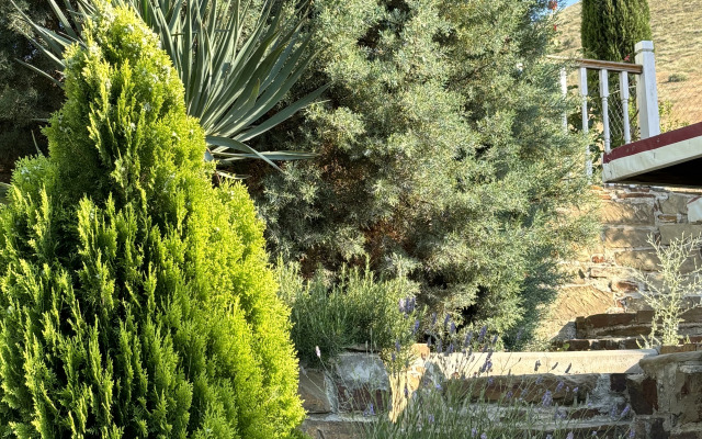 Гостевой дом Кипарис