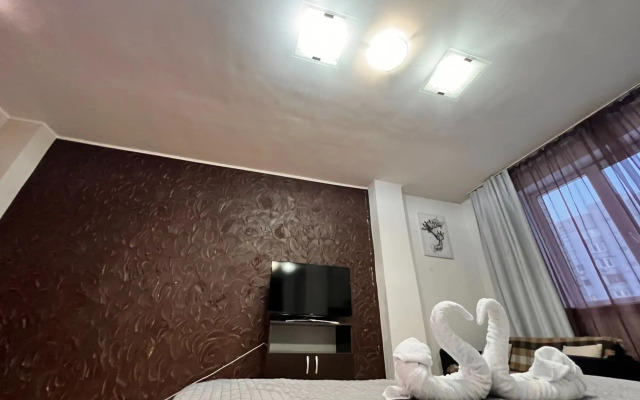 Квартира Студия Вояж на 50 лет ВЛКСМ Центр