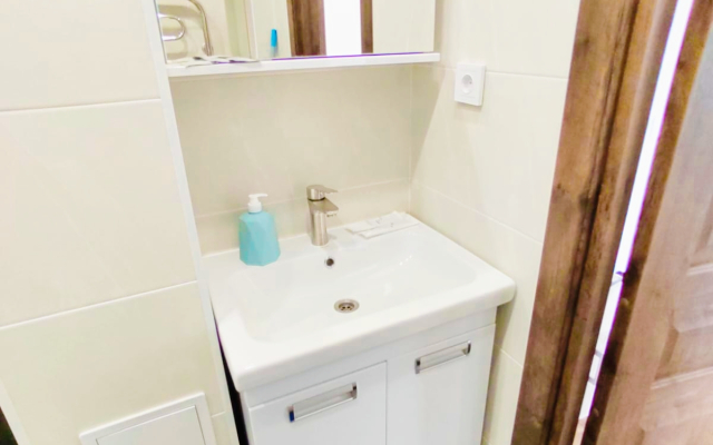 Квартира Большая однокомнатная Ботаника