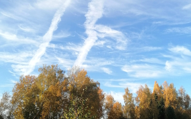 Гостевой дом Окулова Заимка