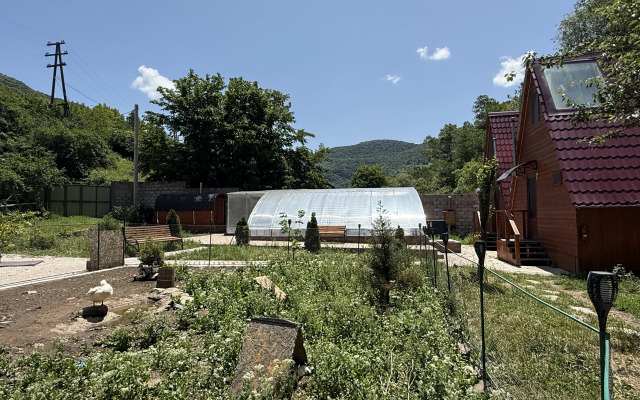 Qarup House Resort