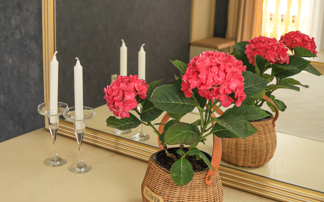 Чеховъ Береговое