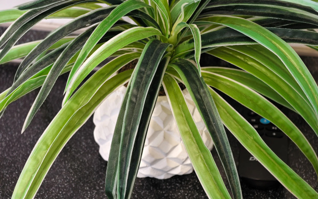 Апартаменты СИБИРЬ HOUSE на Набережной