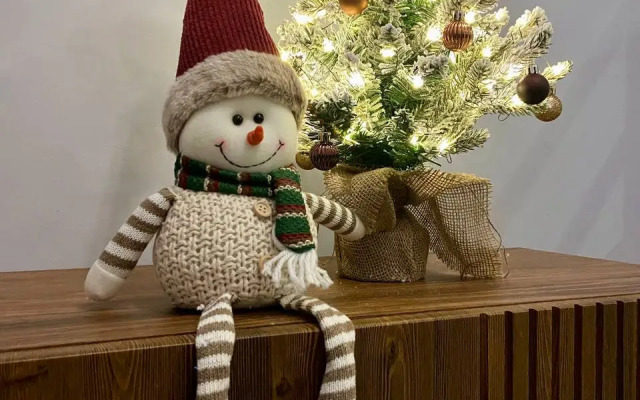 Квартира Стильная студия в самом центре Петроградки