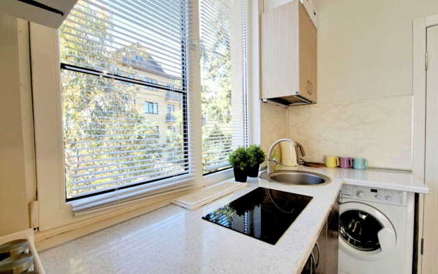 Апартаменты Студия на Соболевке