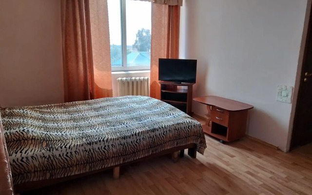 Studiya V Tsentre Flat