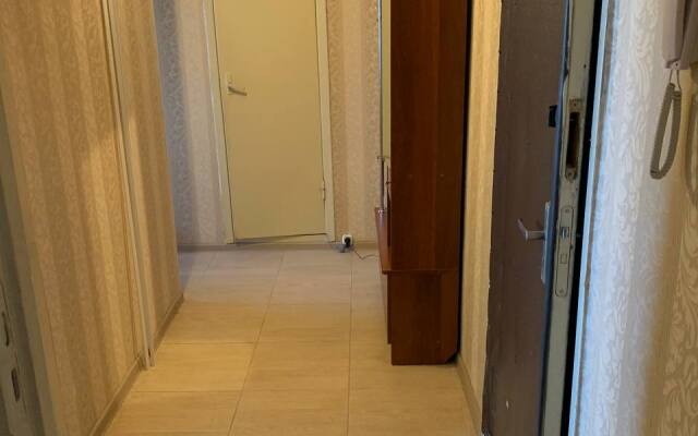 Schastlivaya Matreshka v Kolpino dlya Bolshoy Kompanii Flat