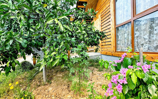 Afalin Guest House