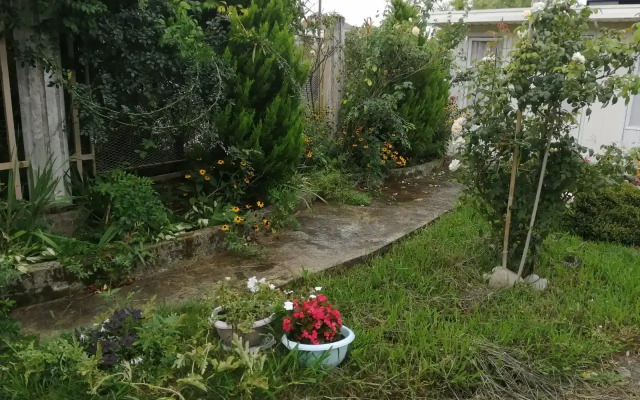 Agava Guest house