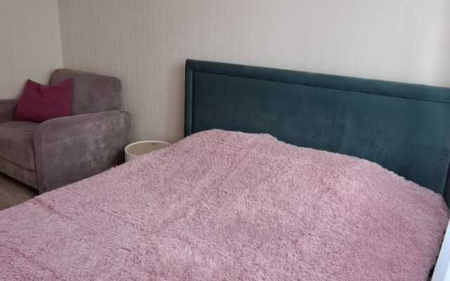 Uyutnye Apartamenty Cranz Flat