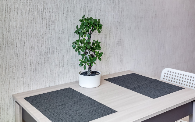 Odnushka S Myatnym Namekom Apartments