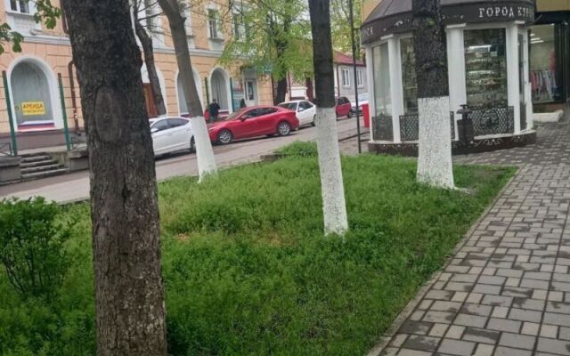 Na Prospekte Kirova 53 Apartments