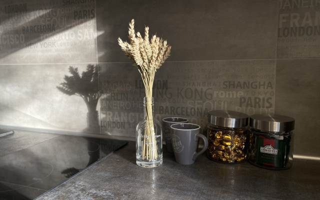 Квартира уютная  в центре Калининграда