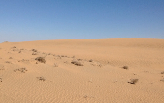 Кемпинг Almagul Yurt