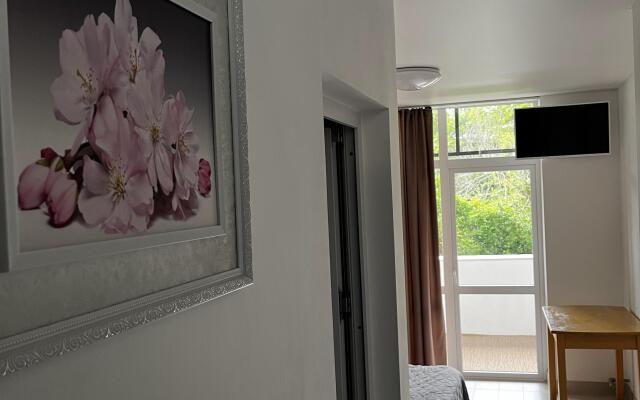 Dvukhmestny S Balkonom I Vannoy Komnatoy Apartment