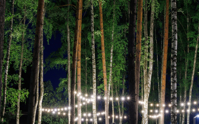 Отель Ruza Forest