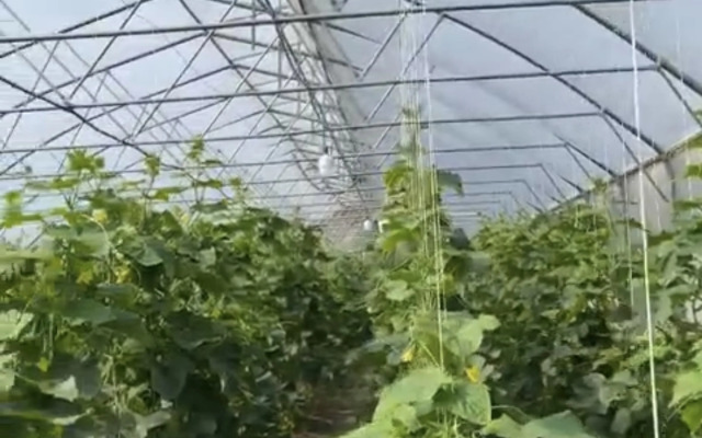 Частный дом Эко-зона