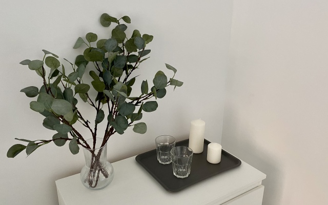 Мебелированная комната на Садовнической (1)