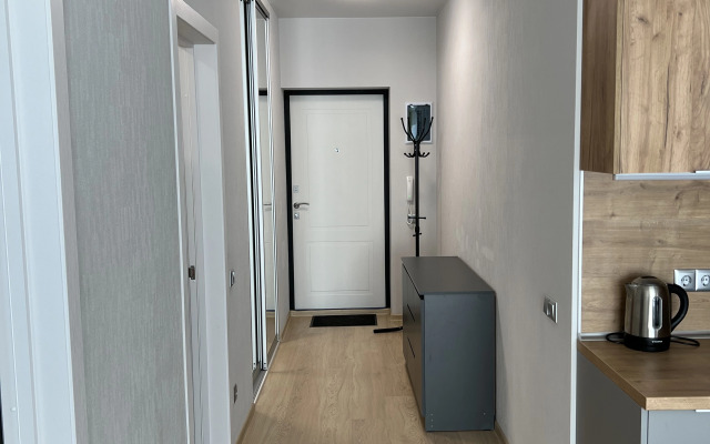 Квартира 1-ком в новом доме посуточно