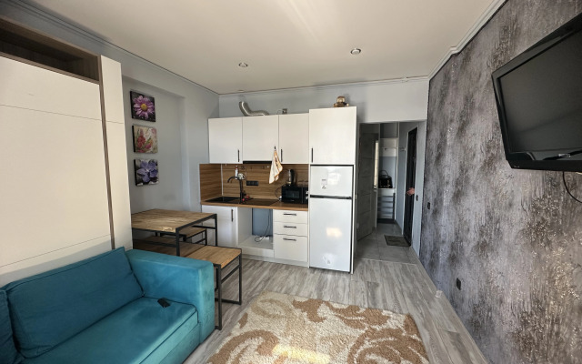 Studiya V Sovetskom Rayone Flat
