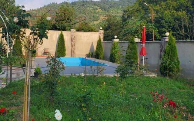 Dioscuria Borjomi Guest House