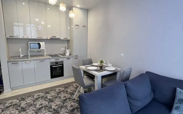 Квартира на Пластунской 123Ак3