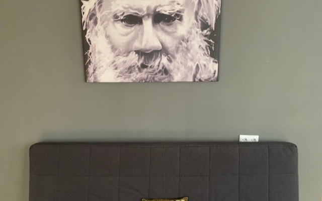 Tolstoy Art Hostel