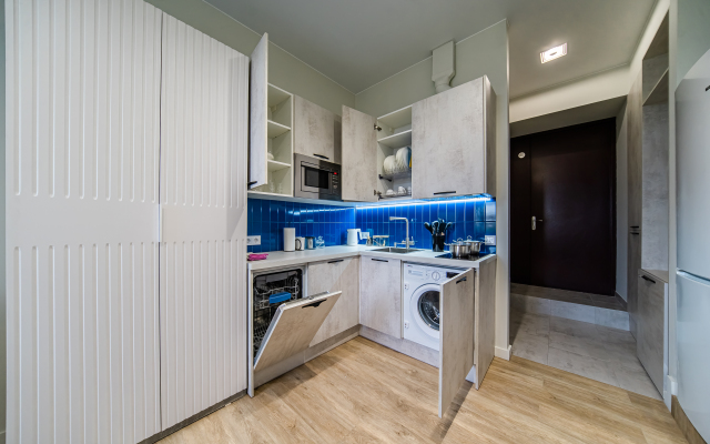 U Vitebskogo Vokzala I Metro Pushkinskaya Flat