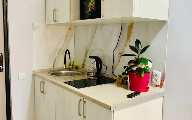 Uyutniye Apartamenty v Tikhom Rayone 2 Apartments