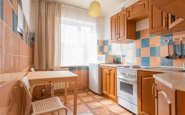 Odnokomnatnyye Passazhir 1 Apartments