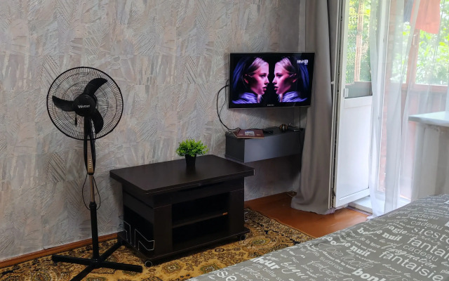 Uyutnaya V Tsentre Vladimira Flat