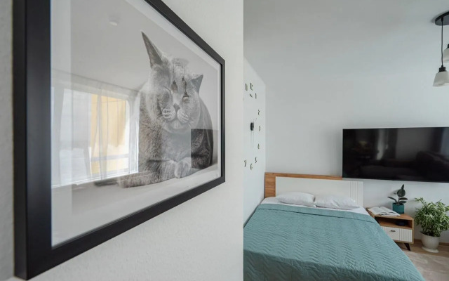 Квартира с шикарным видом на город