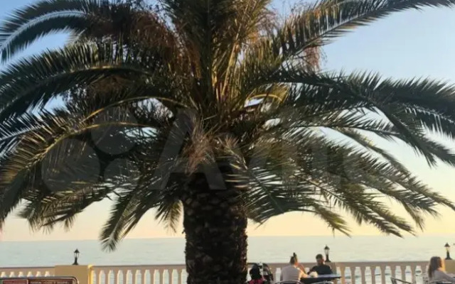 253 Na Krymskoy 89 Apartments