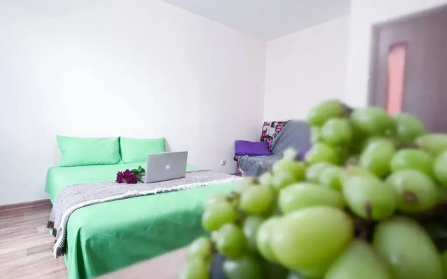 Park Inn Hause Apartments 6
