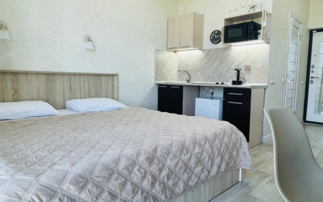 Апартаменты Metropol ZBS Raisa