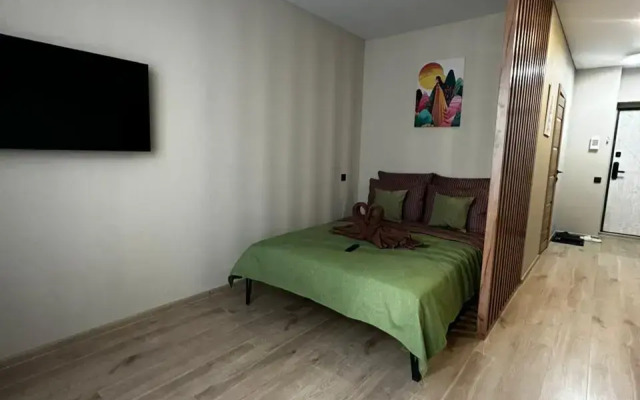 Uyutnaya Studiya Apartment