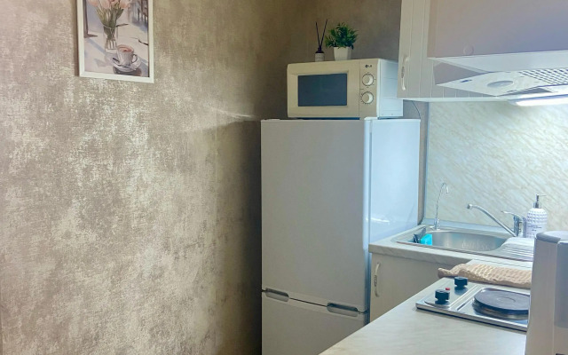 Uyutnaya U Metro Devyatkino Flat