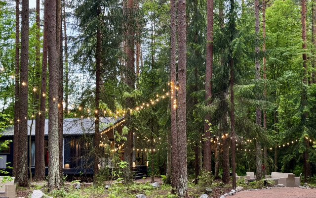 Repinskaya Dacha na Opushke Krasivogo Lesa Private House