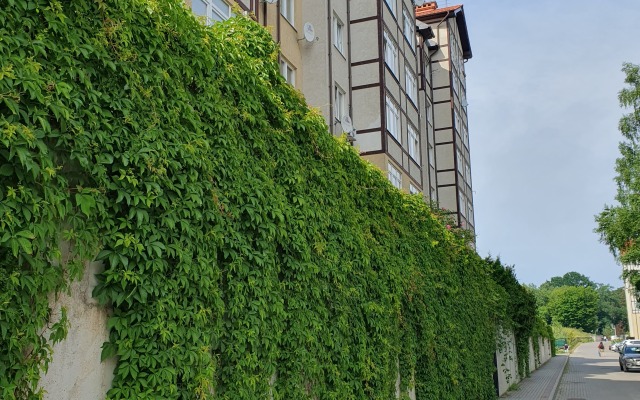 Квартира Silent Place on Olymp