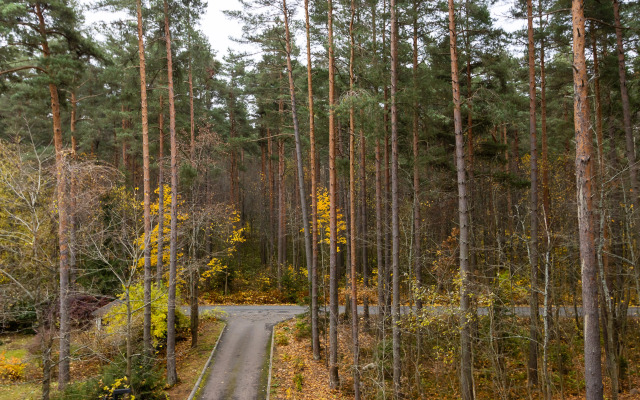 Квартира Ютно Колосья с качелью на балконе и видом на сосны в Зеленогорске
