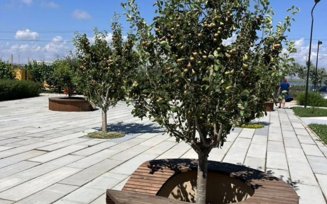 Квартира Улица Симферопольская 2Х