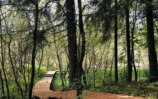 Siniy Domik V Lesu Na Zhivopisnoy Ulitse Glamping