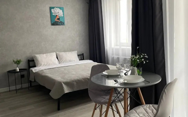 Квартира Уютная Студия в Затоне