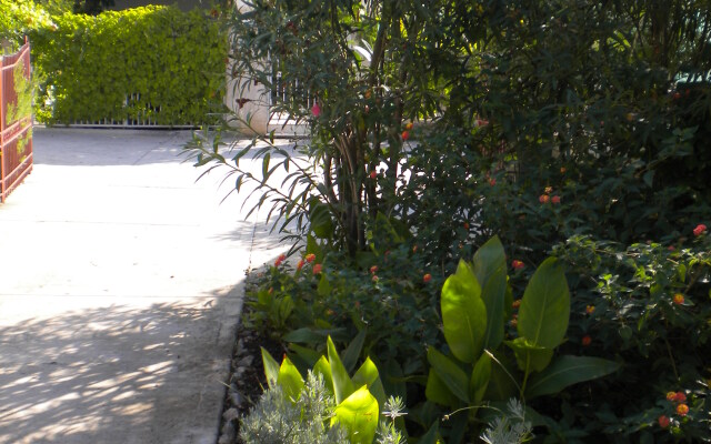 Lastavica Apartments