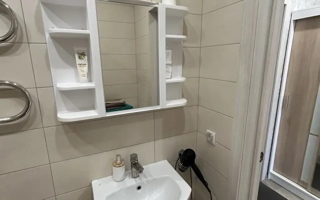 Uyutnaya v Aeroportu Novosibirska Flat
