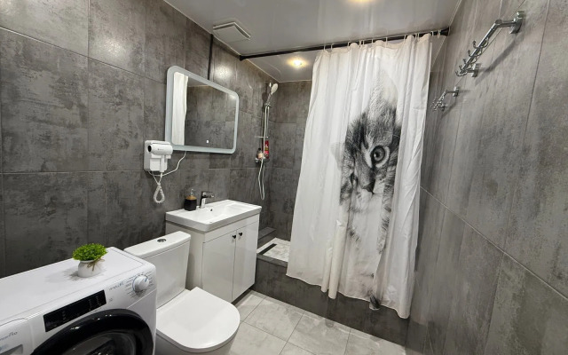 Квартира Однокомнатная  в Миниотеле